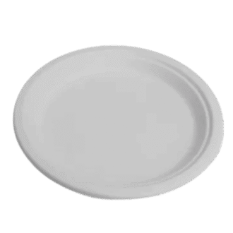 SUGARCANE ROUND PLATE 10" D254 X H20MM