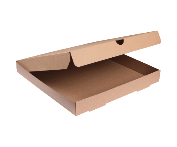 9 Inch pizza box (Brown/Brown)