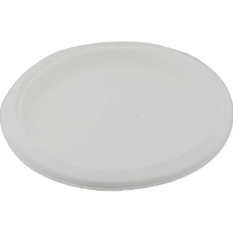 10in Plate Sugarcane 125pcs