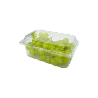 PET BX-500 VEGE Container 500 PCS