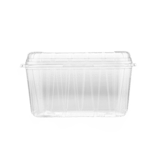 PET F-200 VEGE Container 250 PCS