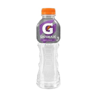 GATORADE 600mL BERRY FREEZE