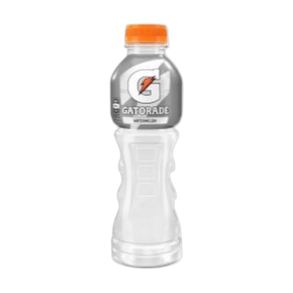 GATORADE 600mL WATERMELON CHILL
