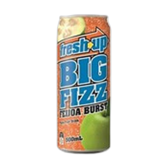 FRESH UP BIG FIZZ FEIJOA BURST 500ML